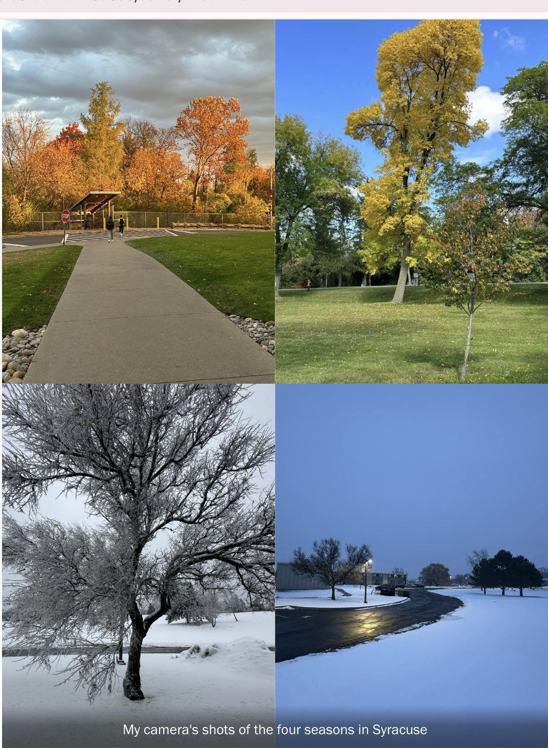 Four photographs of Syracuse across autumn, summer, and winter